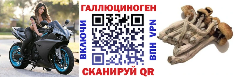 Псилоцибиновые грибы Magic Shrooms  продажа наркотиков  Холм 